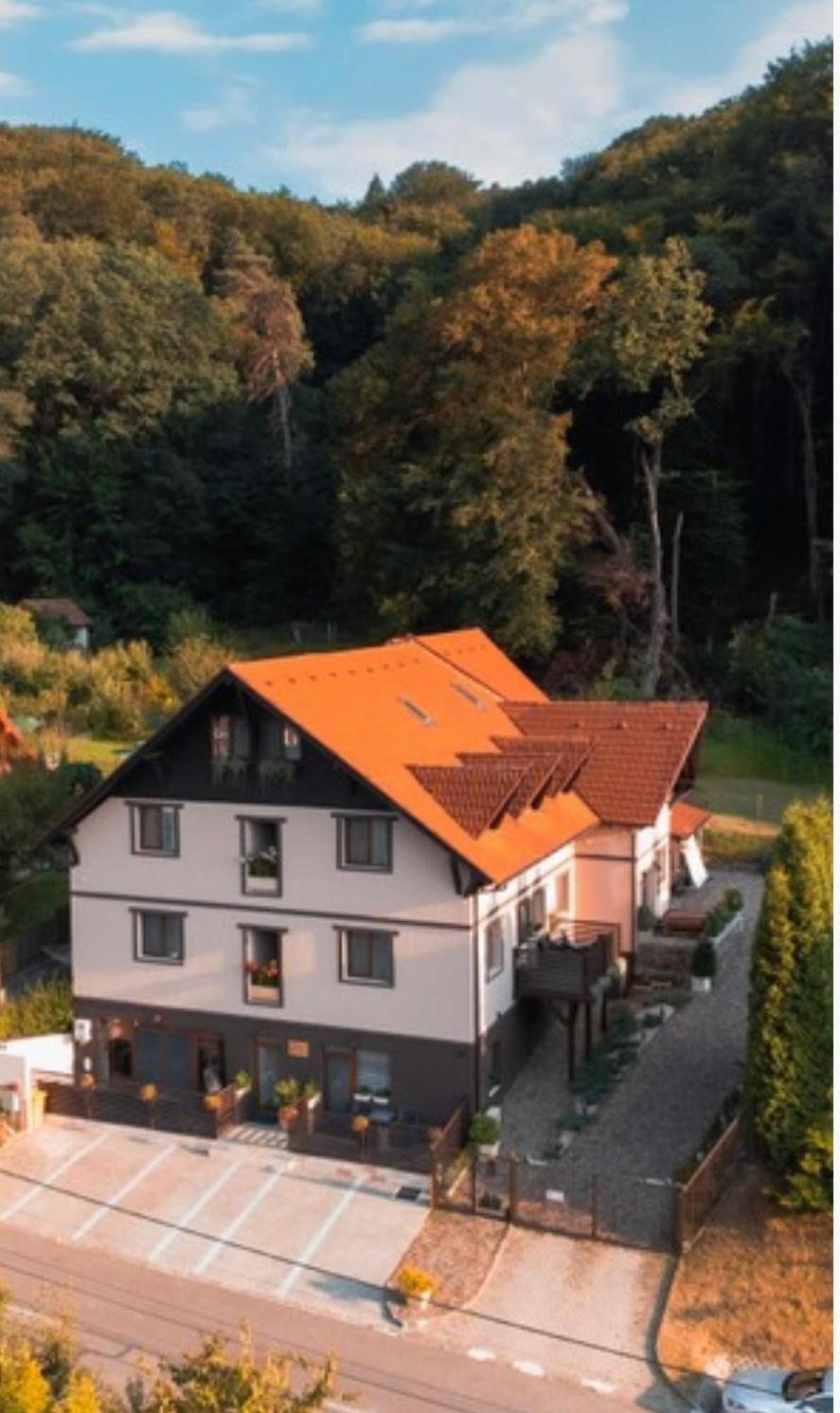 Silvan Villa - Apart Sighișoara Zewnętrze zdjęcie